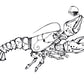 "Homard breton" -  24x18 & 40x30cm